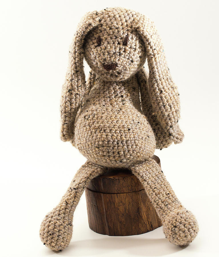 Toy Rabbit Photograph by Ed James