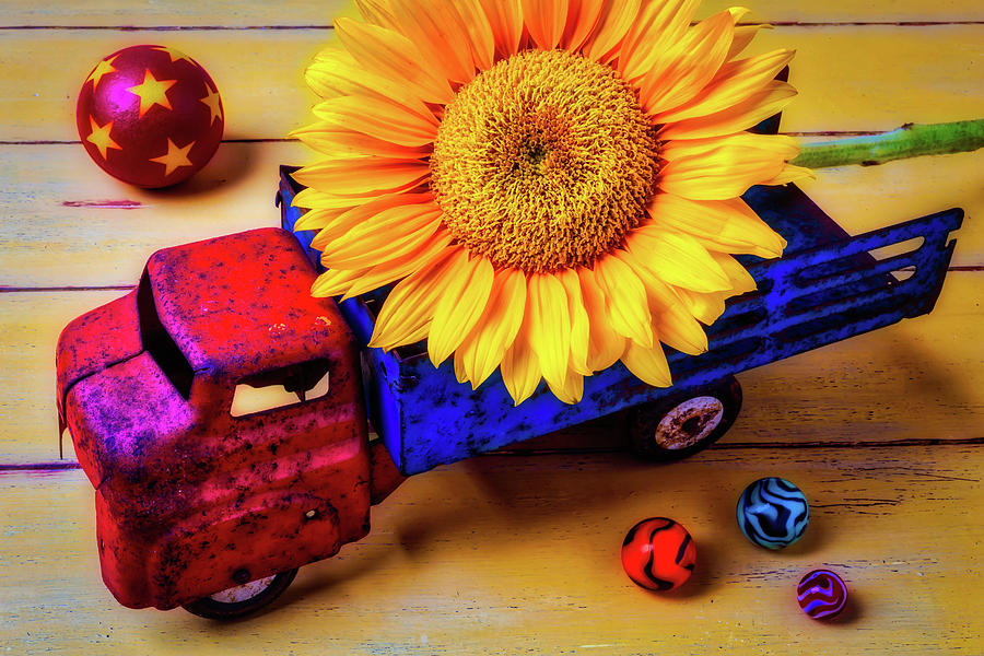 Toy Truck And Sunflower Photograph by Garry Gay