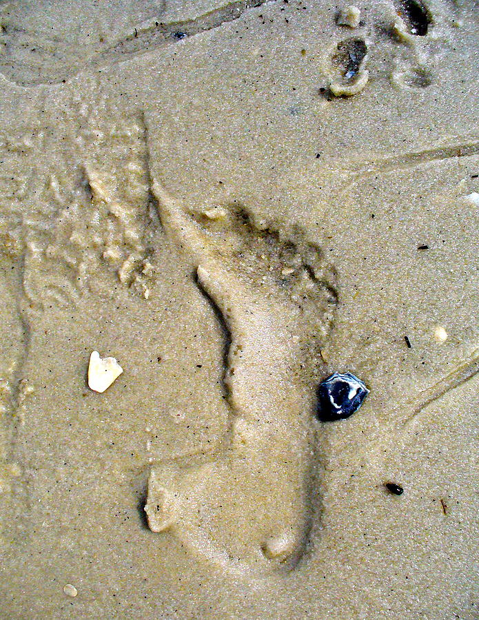 Traces Photograph by Mary Sullivan