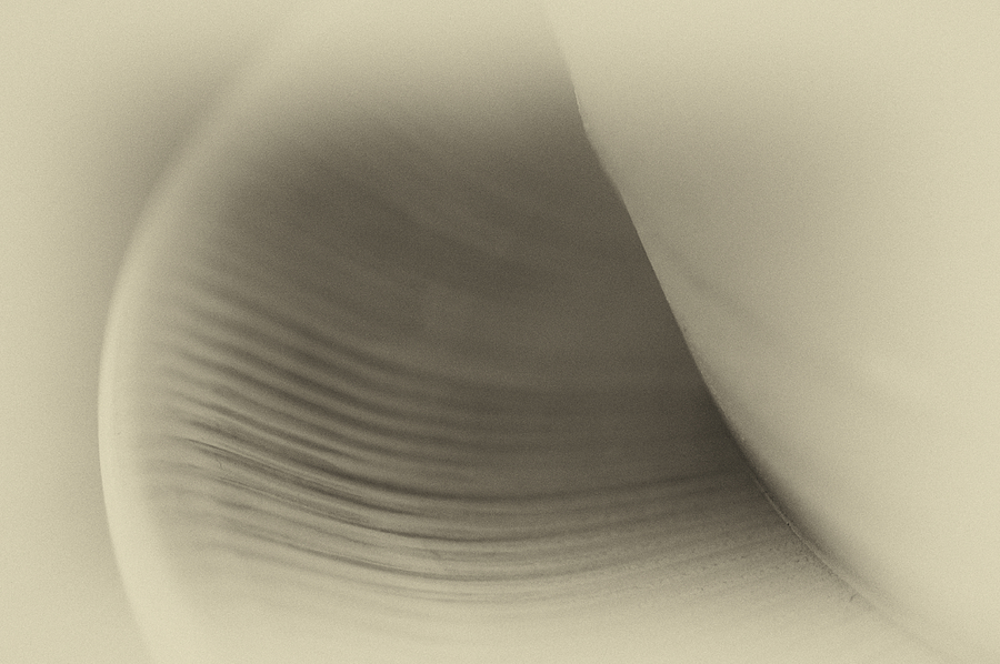 Abstract Photograph - Traces of Reality by Christi Kraft