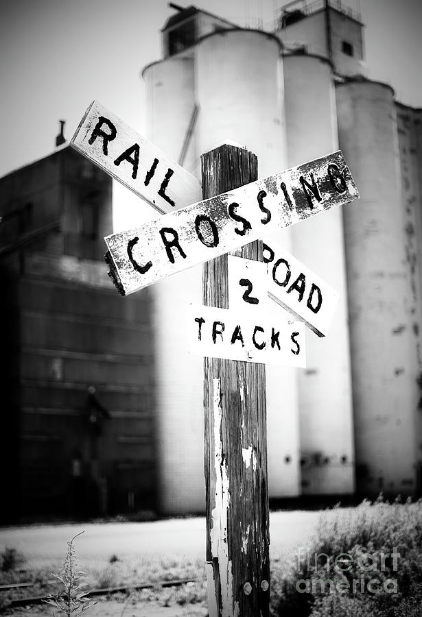 Track Crossing Photograph by Fred Lassmann