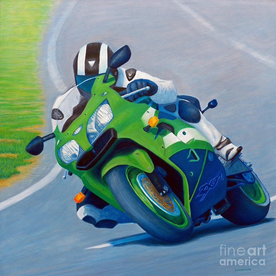 Motorcycle Painting - Track Day - Kawasaki ZX9 by Brian  Commerford