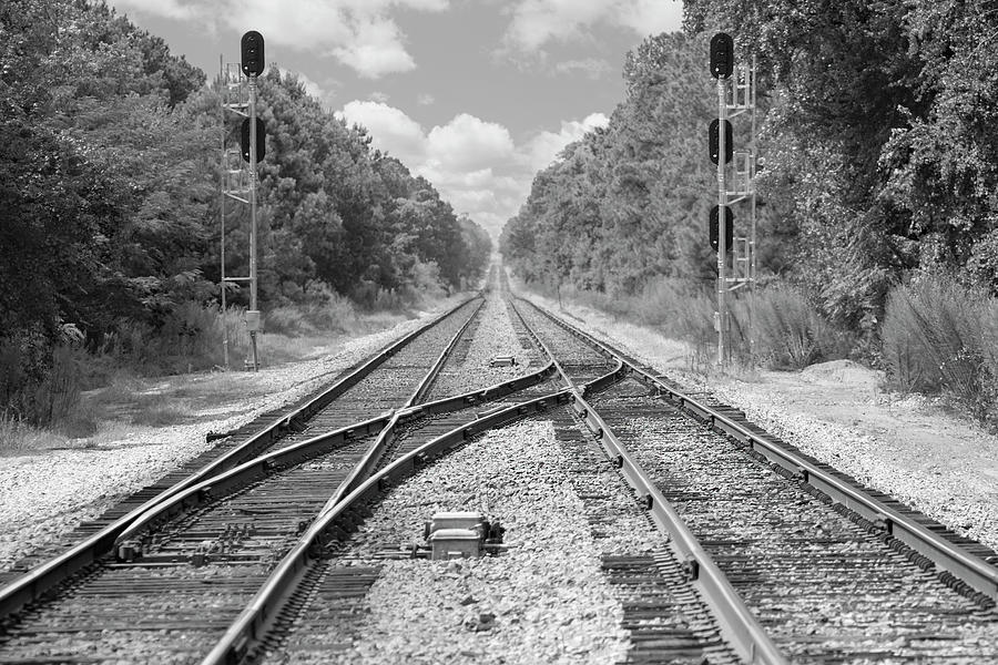 Tracks 2 Photograph by Mike McGlothlen