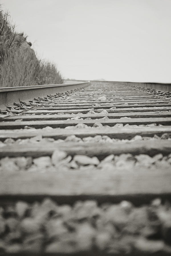 Tracks BW Photograph by Megan Swormstedt