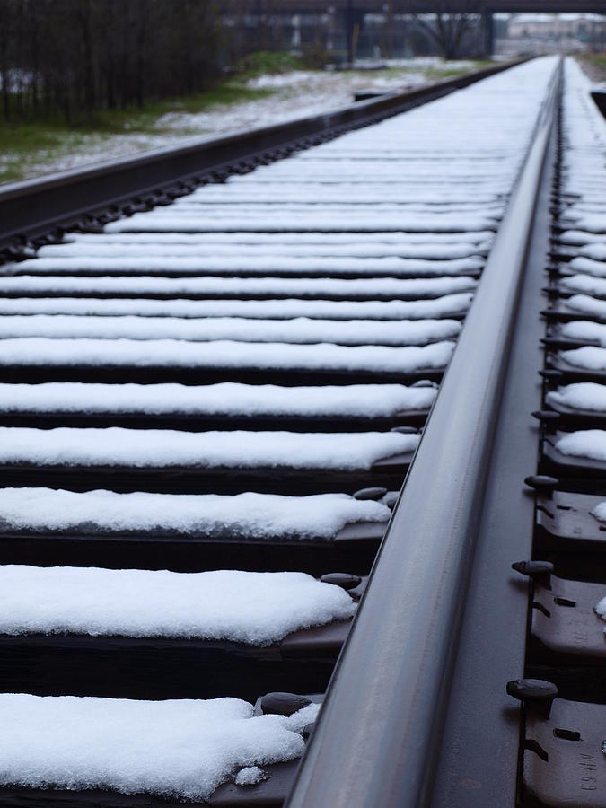 Tracks in Snow Photograph by James Granberry