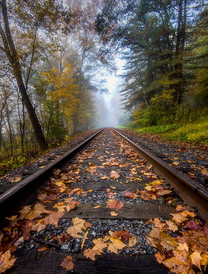 Tracks in the Fall Photograph by Matt Hammerstein