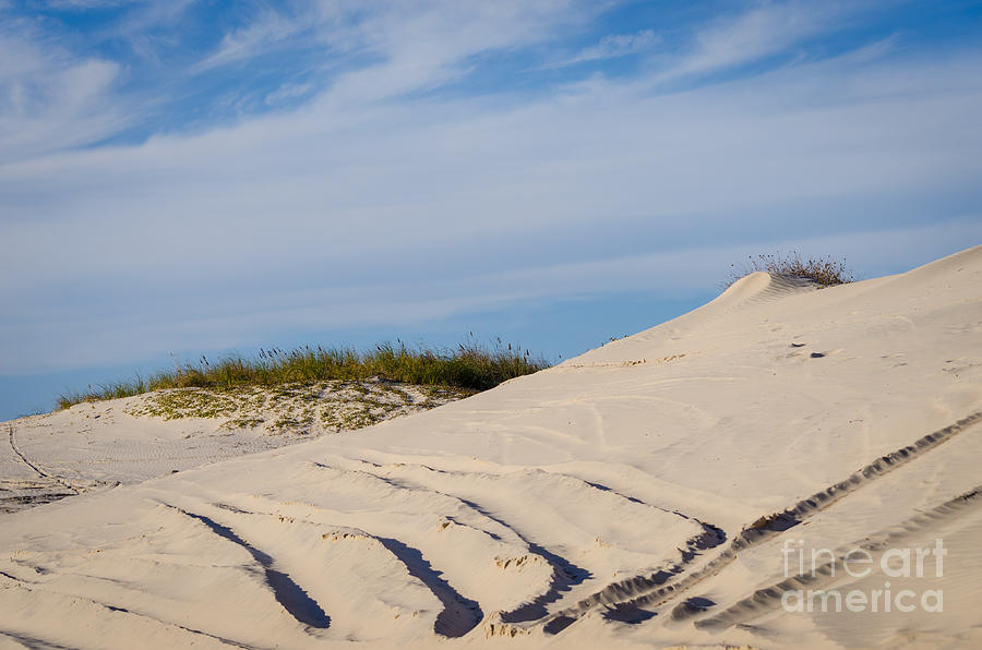 Tracks in the Sand Dunes Photograph by Debra Martz