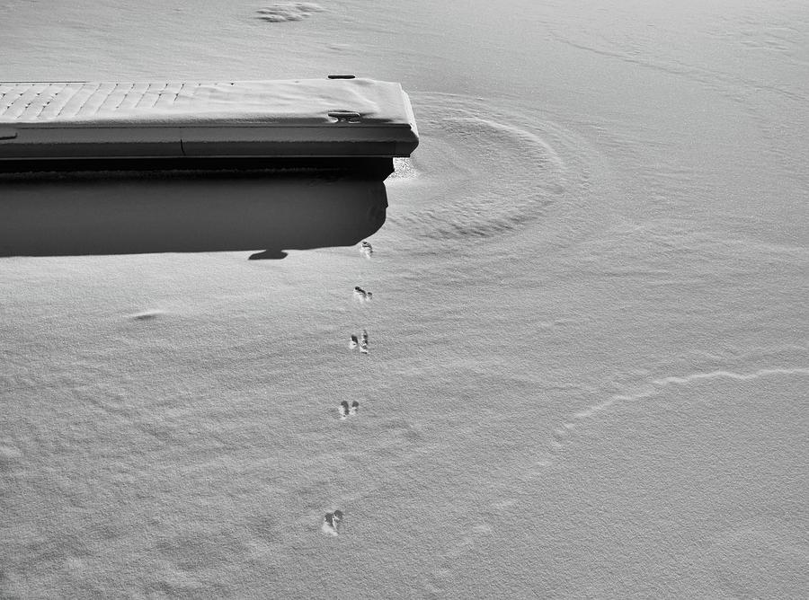 Tracks In The Snow Toward The Dock BW  Digital Art by Lyle Crump