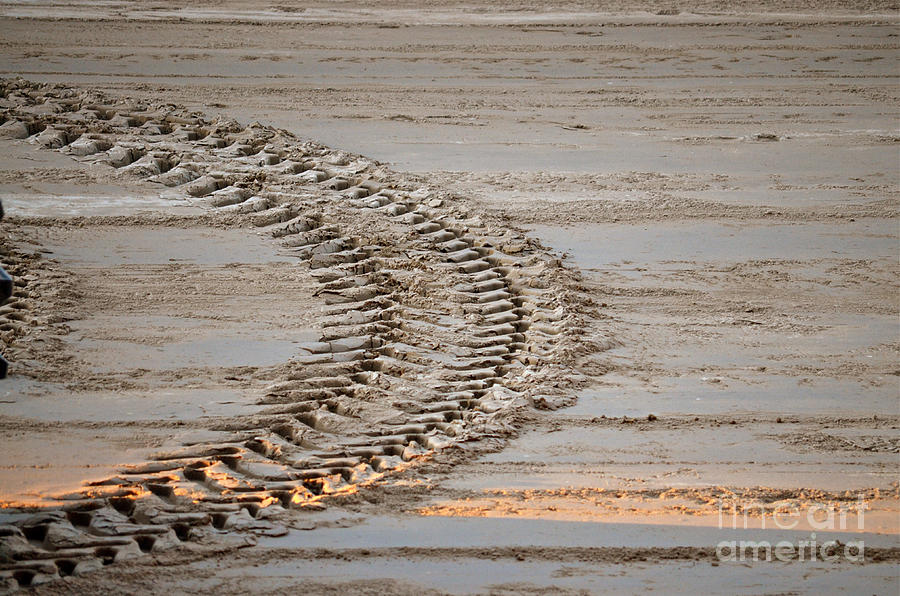 Tractor Tracks Photograph by Jason Freedman