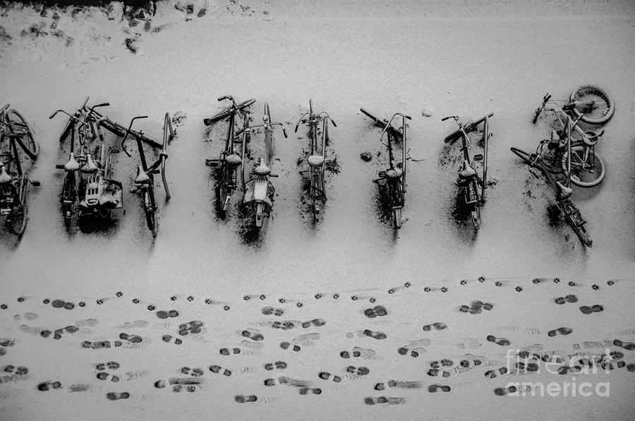tracks n bicycles by Hans Janssen tracks n bicycles by Hans Janssen