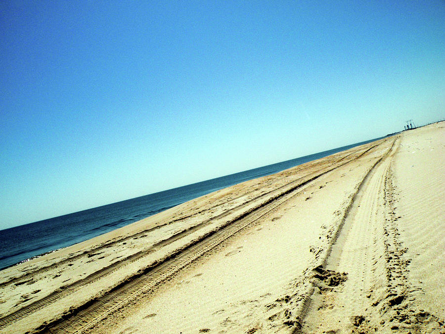 Tracks Of My Beach Photograph by Trish Tritz