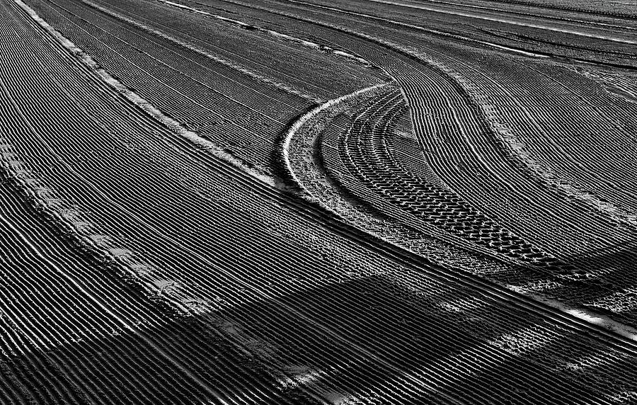 Tracks On The Beach BW  Photograph by Lyle Crump
