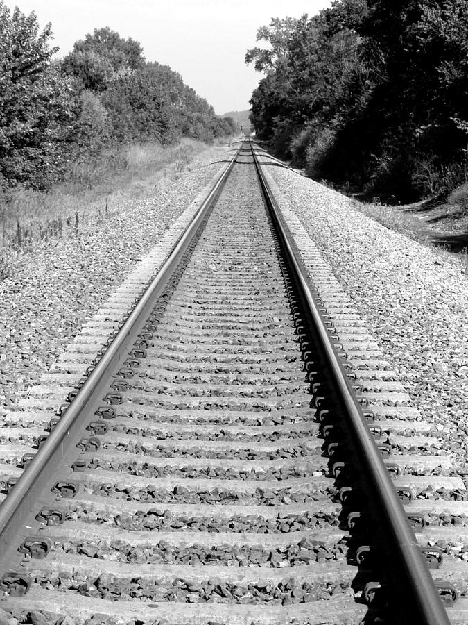 Tracks through Weston MO Photograph by Carol Sweetwood