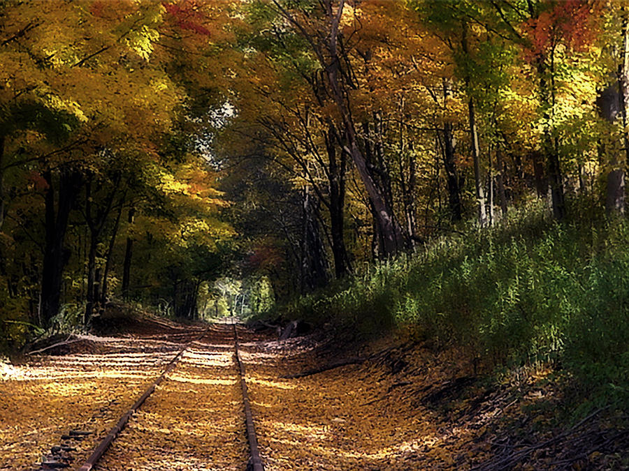 Tracks To Autumn Photograph by Ross Powell
