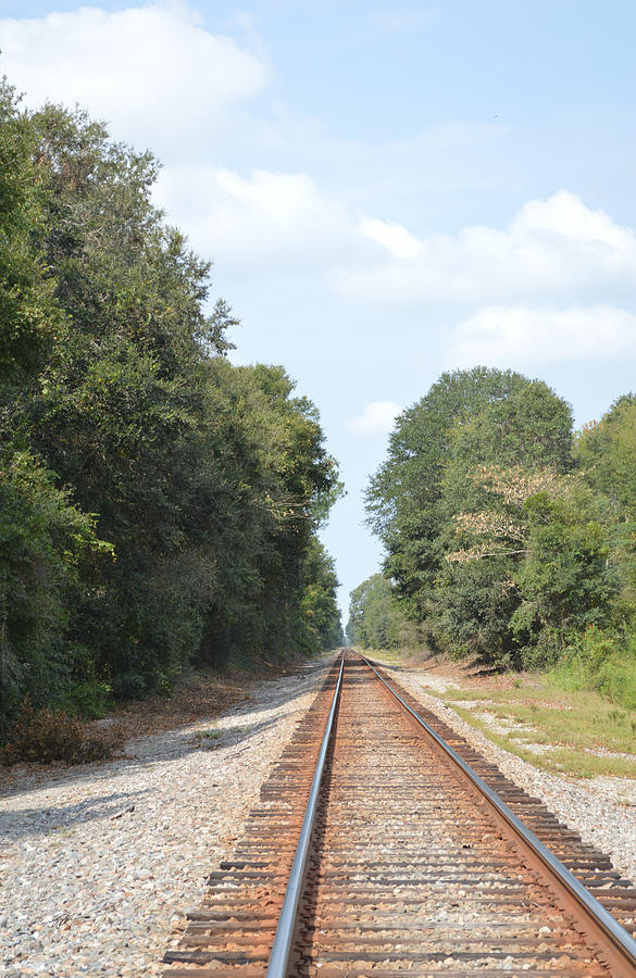 Tracks To Infinity Railroad Photograph By Rd Erickson