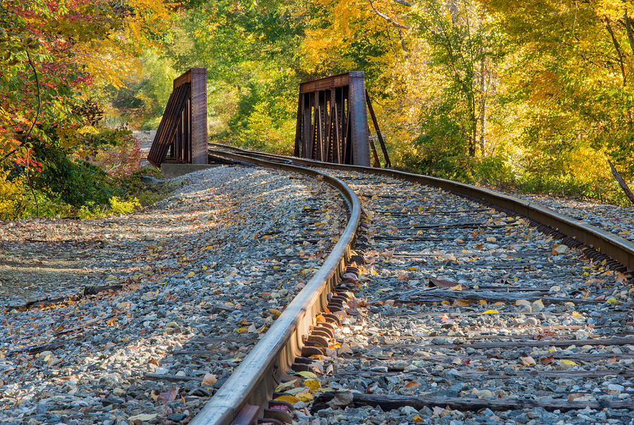 Tracks to nowhere Photograph by Georgette Grossman