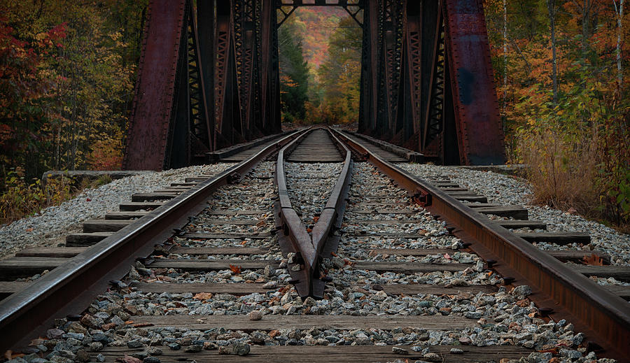 Tracks to the Mountains Photograph by Darylann Leonard Photography