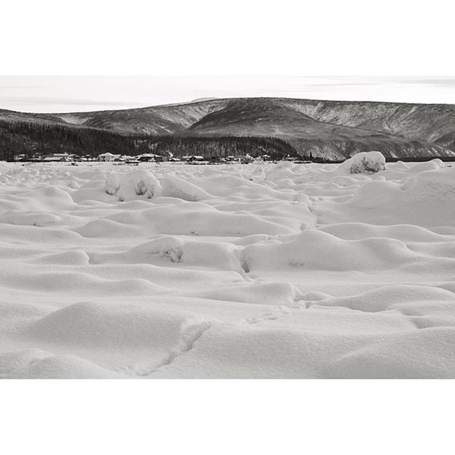 Winter Photograph - Tracks Towards Dawson On The Frozen by Christopher Healey