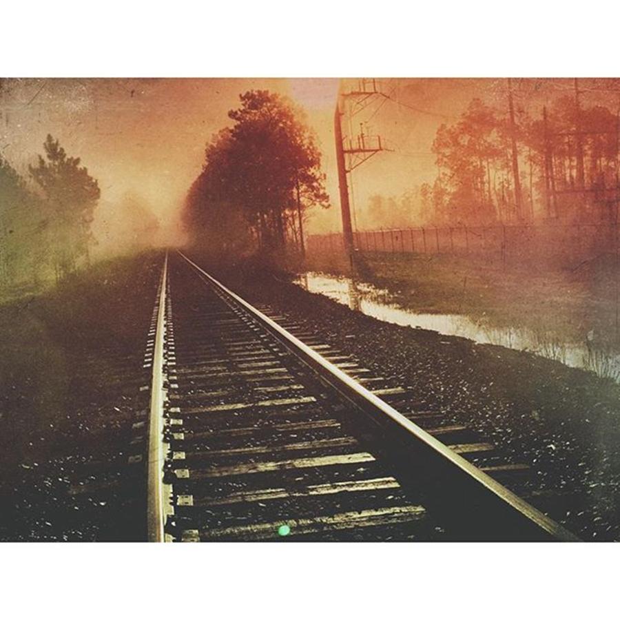 Tracks #visitms #mexturesapp #iphone6 Photograph by Joan McCool