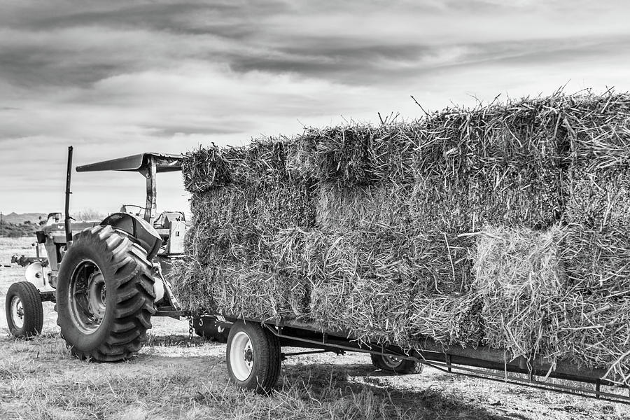 Tractor and Hay Photograph by SR Green
