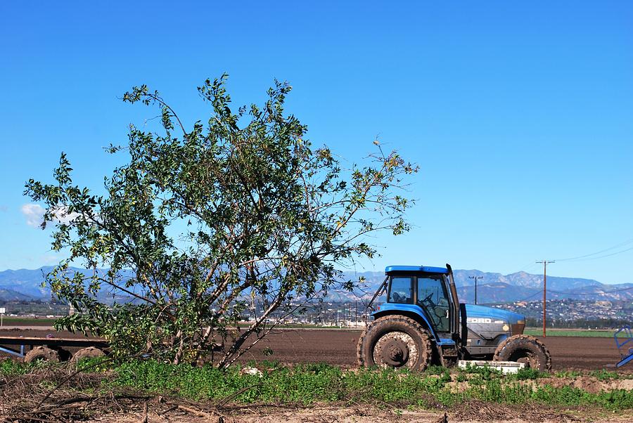 Nature Photograph - Tractor and Tree on a Farm by Matt Quest