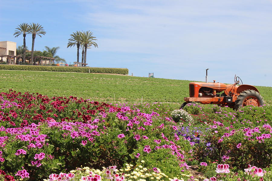 Tractor Fields by Murad Abel Tractor Fields by Murad Abel