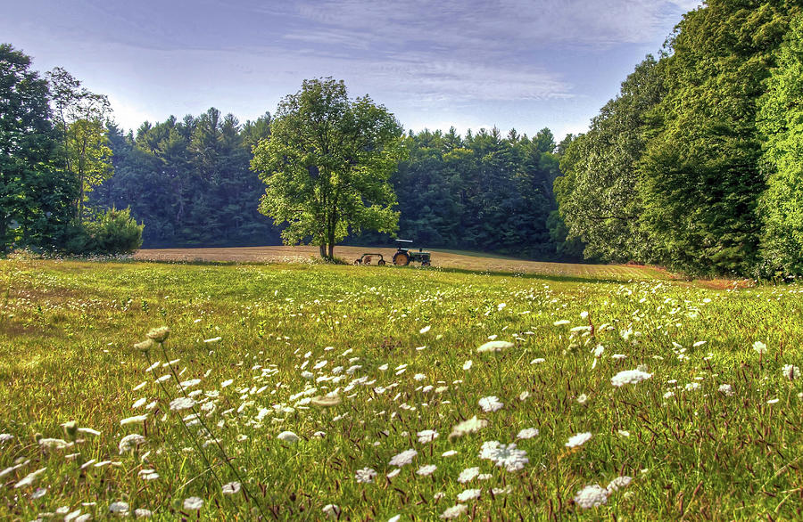 Tractor in Field with Flowers by Wayne Marshall Chase Tractor in Field with Flowers by Wayne Marshall Chase