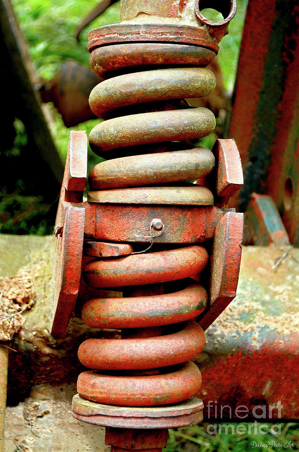 Tractor Spring  Photograph by Debbie Portwood