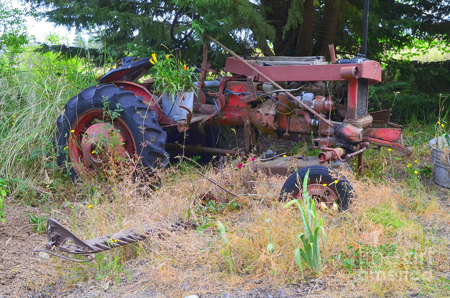 Tractor Retired Photograph by Mary Deal