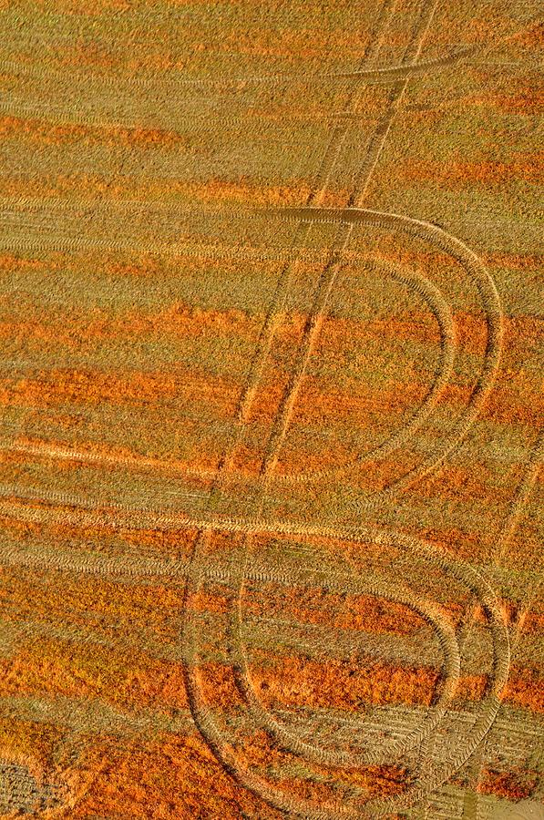 Tractor Trails Photograph