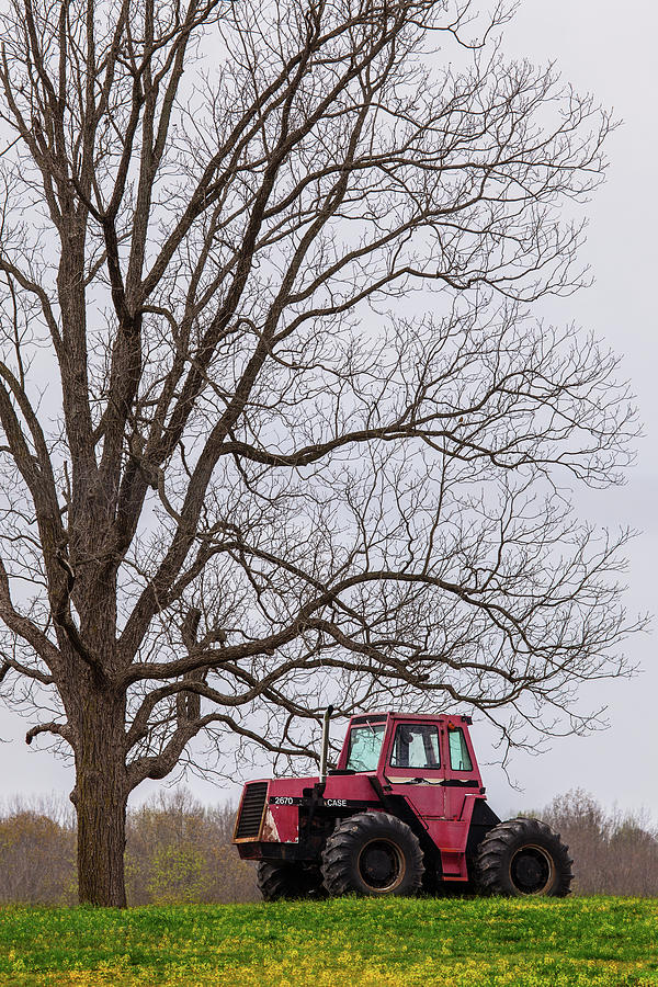 Tractor Under A Tree Photograph by Dan Carmichael