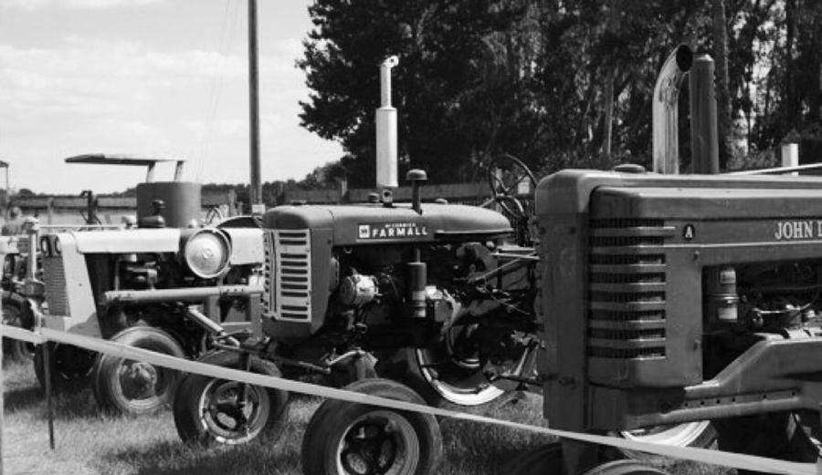 Tractors Photograph