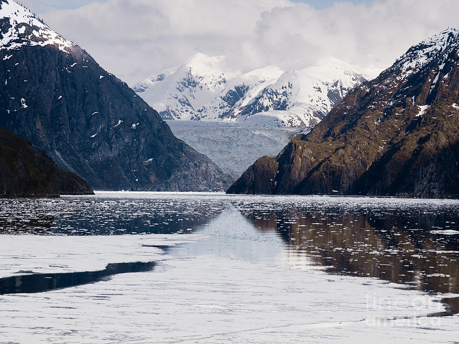 Tracy Arm Fjord And Sawyer Glacier, Alaska Photograph By Dani Prints ...