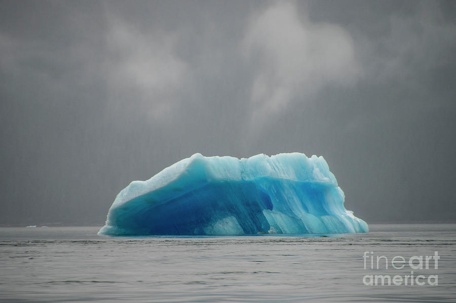 Iceberg - Tracy Arm Fjord Photograph by Louise Magno