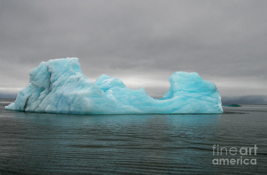 Floating Iceberg Photograph by Louise Magno