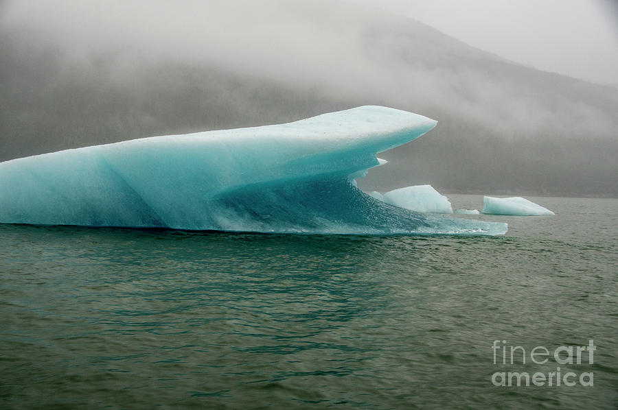 Shark Iceberg Photograph by Louise Magno