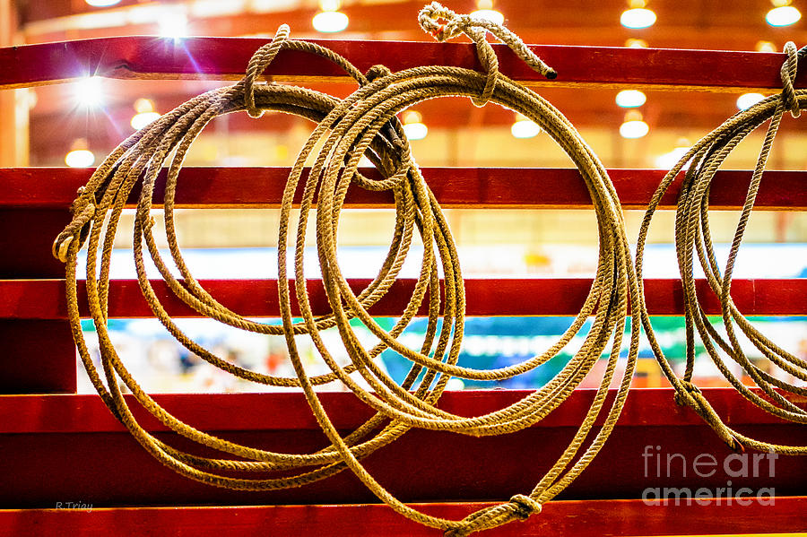 Horse Photograph - Trade Tools of a Rodeo Cowboy by Rene Triay FineArt Photos