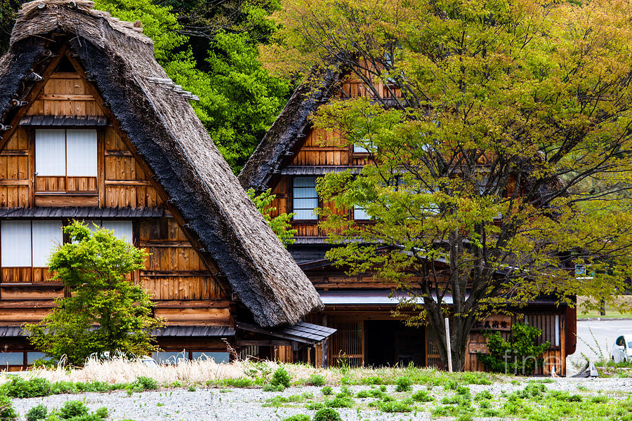 Architecture Photograph - Traditional and Historical Japanese village Ogimachi - Shirakawa-go, Japan  by Mariusz Prusaczyk
