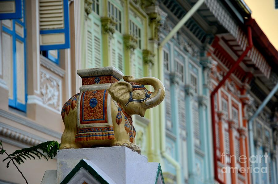 Traditional Asian decorated elephant guards house gate Singapore Photograph by Imran Ahmed