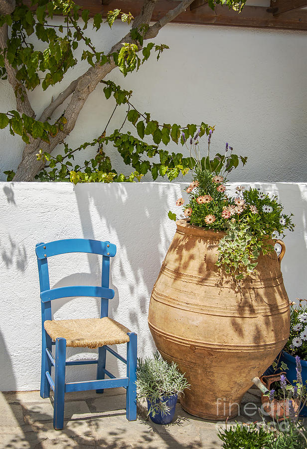 Traditional greek veranda Photograph by Sophie McAulay