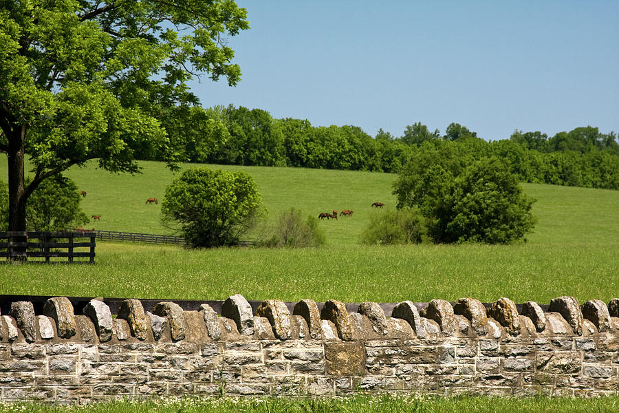 Traditional Kentucky Stone Wall Photograph by Sally Weigand