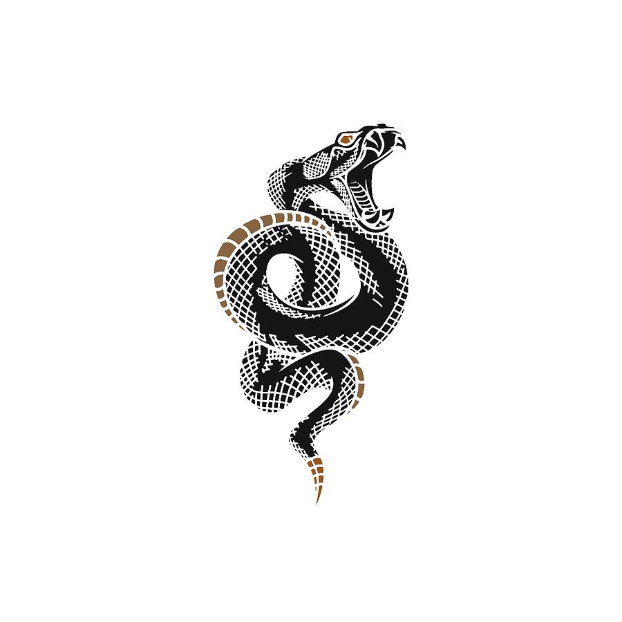 cobra snake drawing - Print now for free | Drawing Ideas Easy
