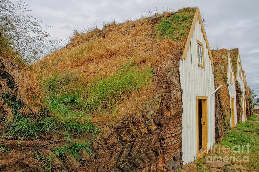 Traditional turf houses in Iceland Photograph by Patricia Hofmeester