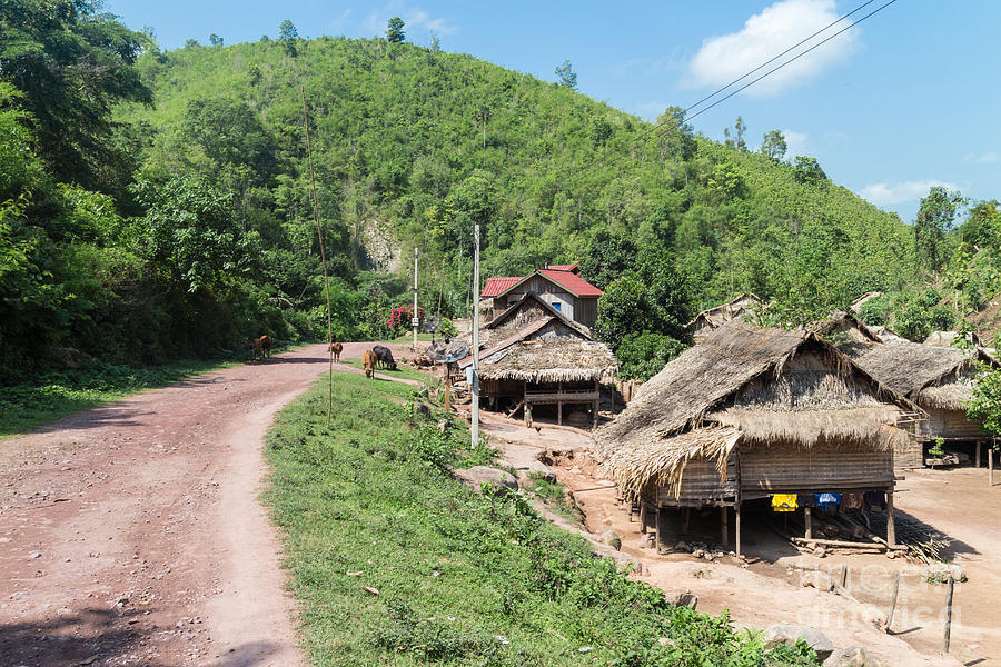 Traditional village in Laos Photograph by Didier Marti