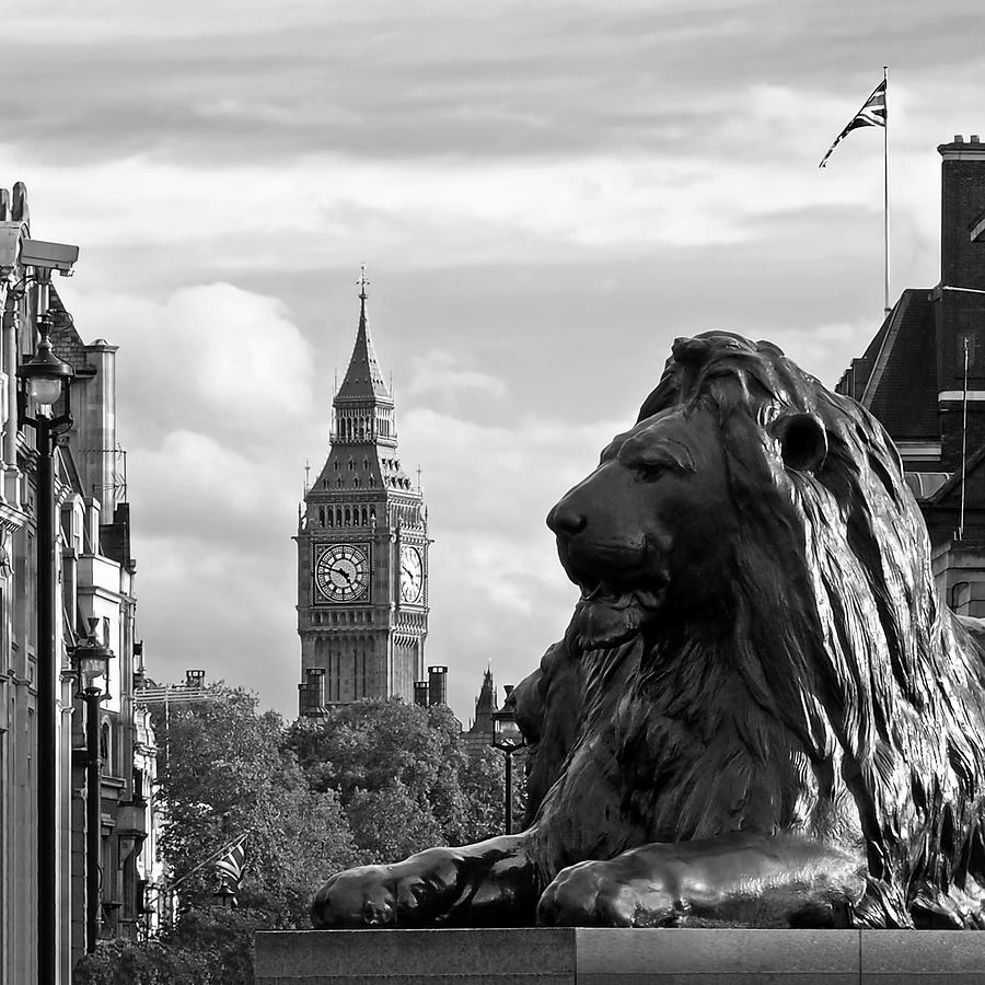 London Photograph - Trafalgar Square Lion with Big Ben in Black and White by Gill Billington