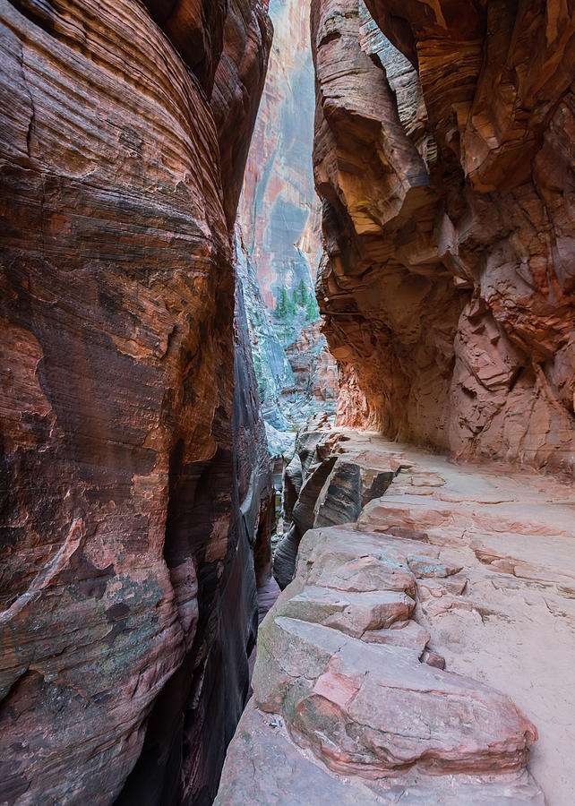Trail Above Slot Canyon Photograph by Kelly VanDellen
