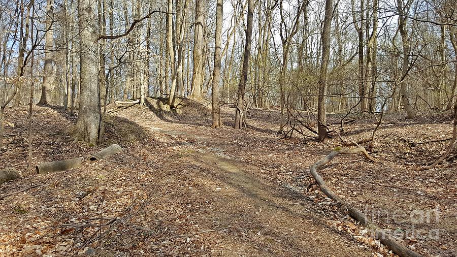 patapsco valley state park mountain biking