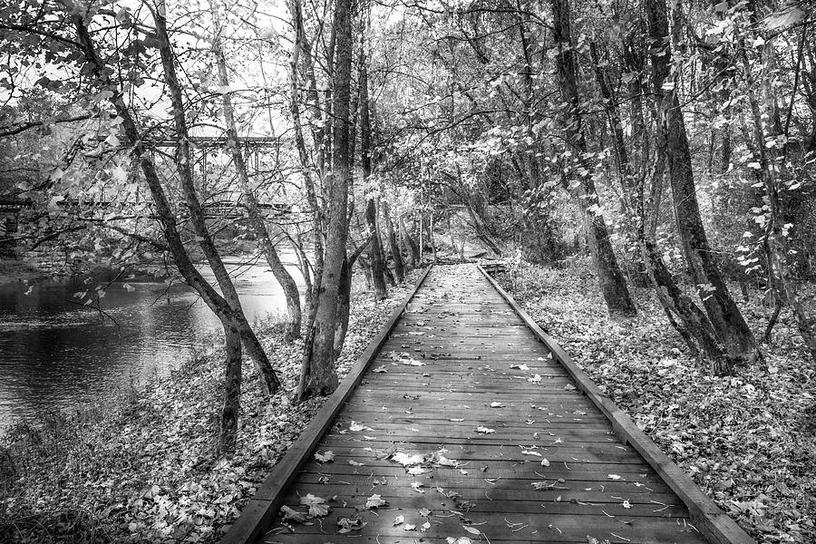 Trail at the River Black and White Photograph by Debra and Dave Vanderlaan