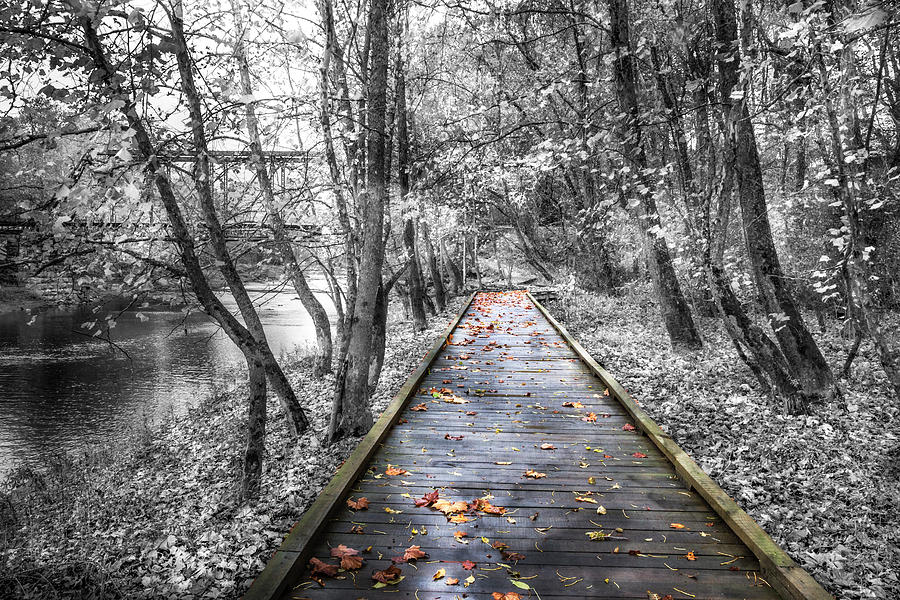 Trail at the River in Autumns and Black and White Photograph by Debra and Dave Vanderlaan