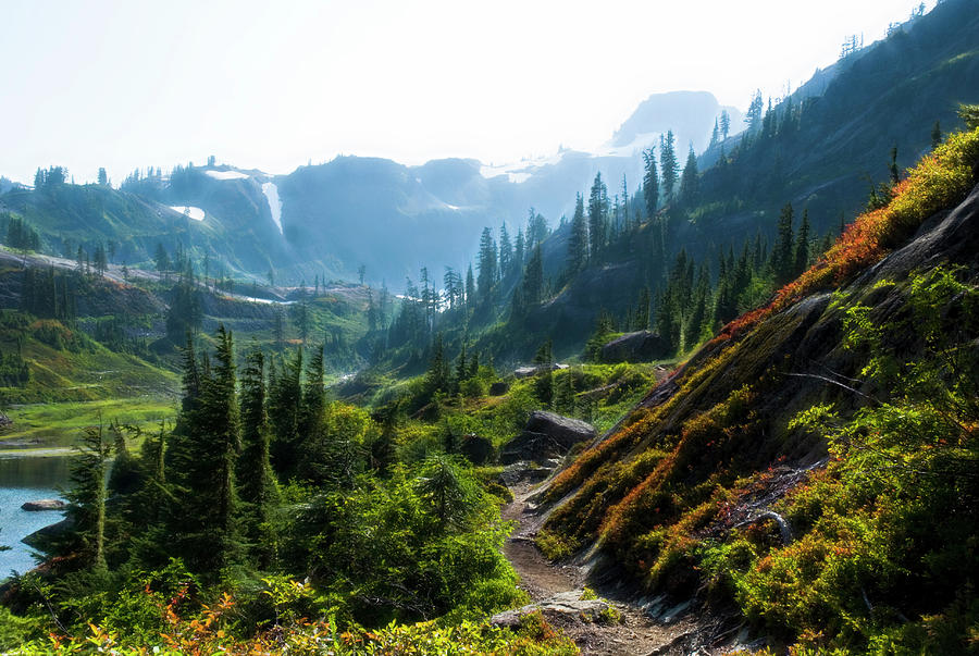 Trail in Cascade Mountains Photograph by Yulia Kazansky